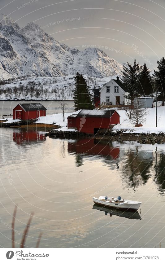 Austnesfjorden-fishingboat moored beside Vestpollen village-central Austvagoya island. Nordland fylke-Norway. 0090 fishing boat vessel ship watercraft
