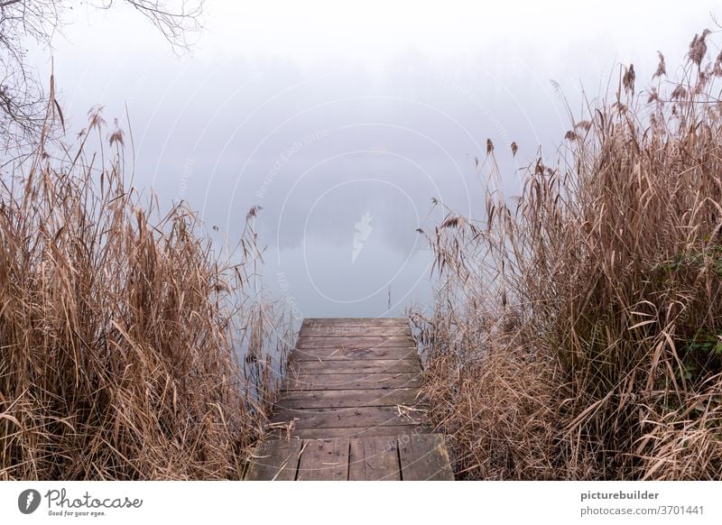 The footbridge at the lake in fog Lake Fog Footbridge reed bank Nature wood Autumn Winter Autumnal Water reflection Landscape tranquillity Loneliness off Vista