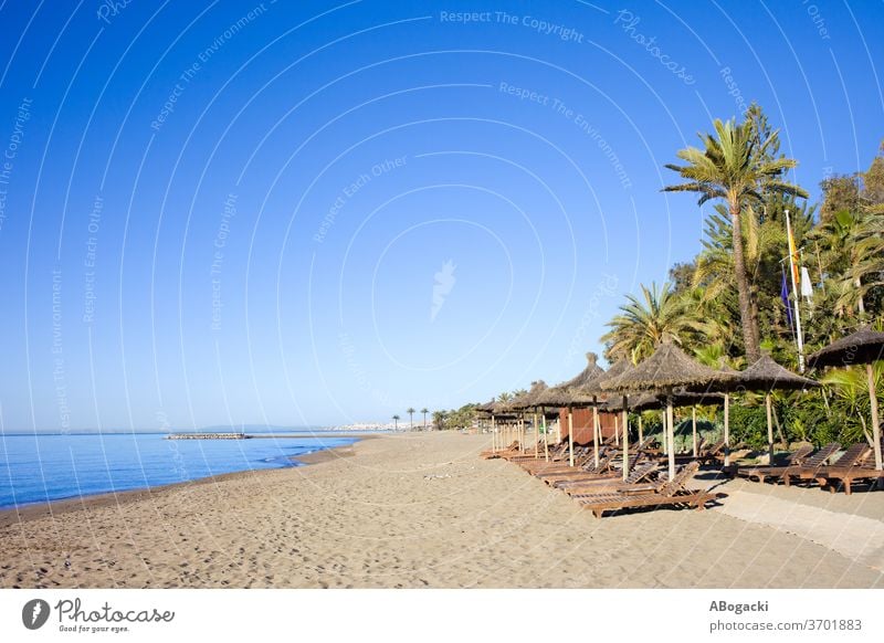 Beach with Palm trees and sun loungers on Costa del Sol in Marbella resort, Spain beach sea spain marbella costa del sol vacation holidays travel leisure