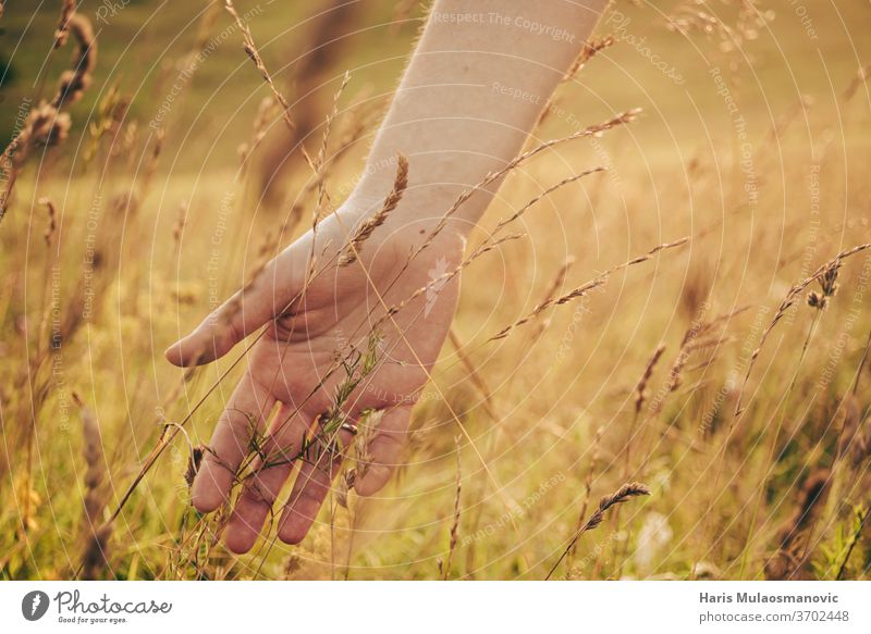 woman hand in golden grass summer field in sunset close up casual concept corona technology corona virus covered covered eyes covered face covid-19