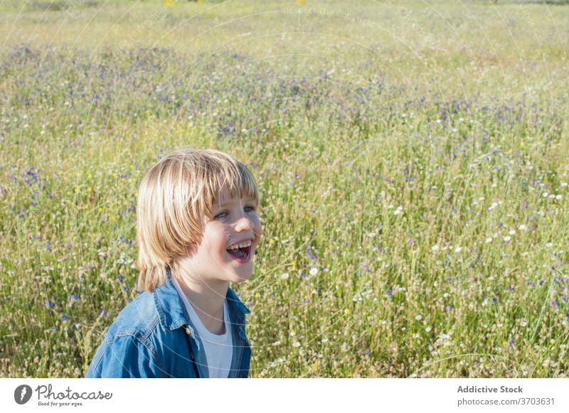 Carefree boy in blooming meadow child carefree laugh relax cute summer sunny adorable cheerful joy field kid flower happy blossom nature grass rest enjoy