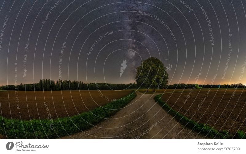 The milkyway over a lonely tree with much copy space. nature field pure nobody no person stars galaxy beauty road leading line street long exposure amazing sky