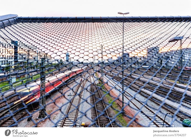 View from the bridge to many train tracks in the city Sunset evening light Colour photo Train rails Railroad tracks Transport Train travel Means of transport