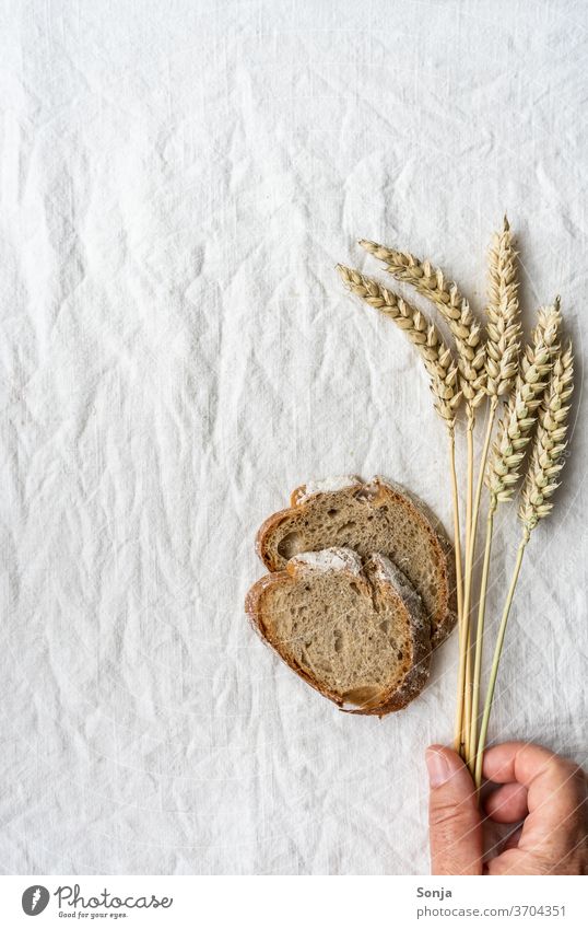 Hand with ears of wheat and two slices of bread on a linen tablecloth. Top view. Bread Slice of bread Wheat ear by hand stop Linen cloth plan Healthy Eating