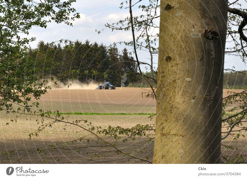 Tractor ploughs field at the edge of the forest Field Forest tree huts Agriculture Summer Dust firs beeches Tree trunk rural work ardor Loneliness green Nature