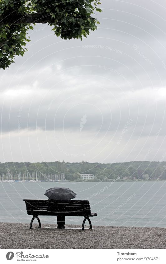 Anticipation | The rain shower will end Lake Constance bank Gravel Seating Rain Umbrella Human being Protection Clouds Sky tree