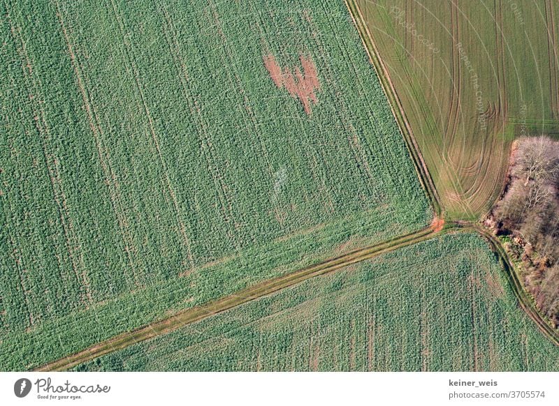 Agricultural area seen from above in green colours aerial photograph arable land Agriculture fields quality structure division Bird's-eye view Abstract areas