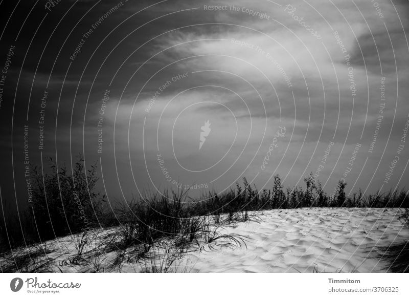 A picture of dunes Marram grass Sand Sky Clouds Light Bright conceit Nature Beach Baltic Sea Black & white photo