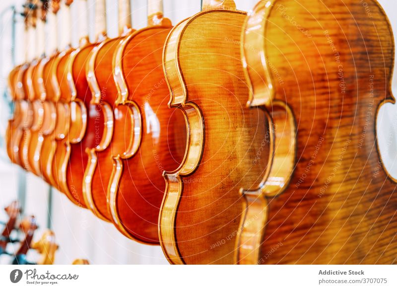 Collection of modern violins in shop collection store shiny set hang wall instrument bright row contemporary creative art design style retail elegant simple new