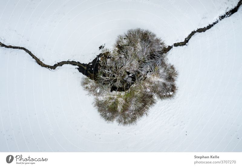 A tree from above in snowy winter. creek drone landscape nature aerial background view outdoor top scenic beautiful countryside river environment season water