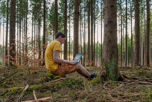 A man working with his laptop in a forest on the fresh air sitting on a trunk. cozy health computer concrete green modern background light desktop environmental