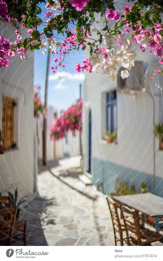 Take a seat l Café on Paros Greece Town Vacation & Travel Island Ocean Europe Summer Exterior shot House (Residential Structure) Mediterranean Blue White