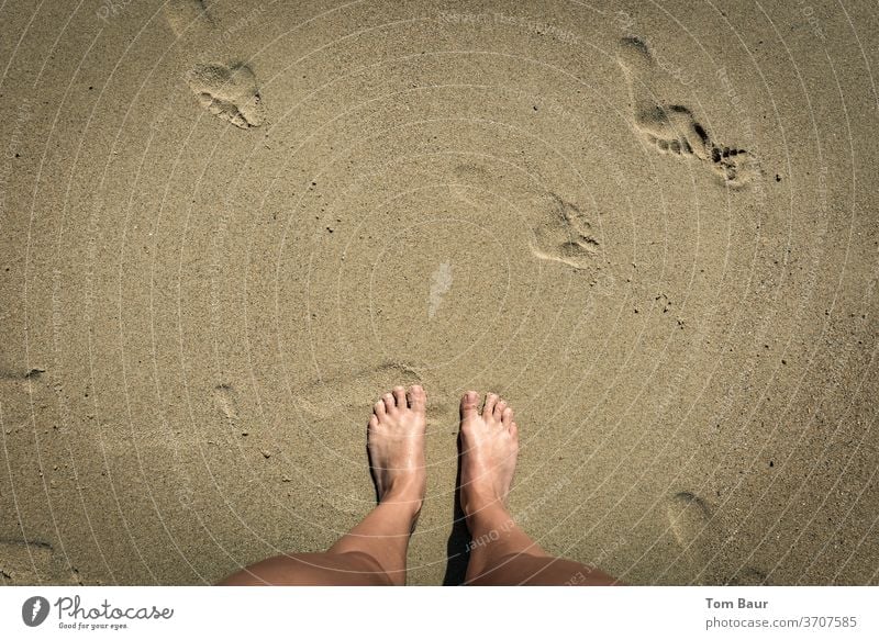 Feet in the sand by the sea with more footprints Feet up feet Beach Sand Footprints in the sand Summer Vacation & Travel Tracks Exterior shot Barefoot coast