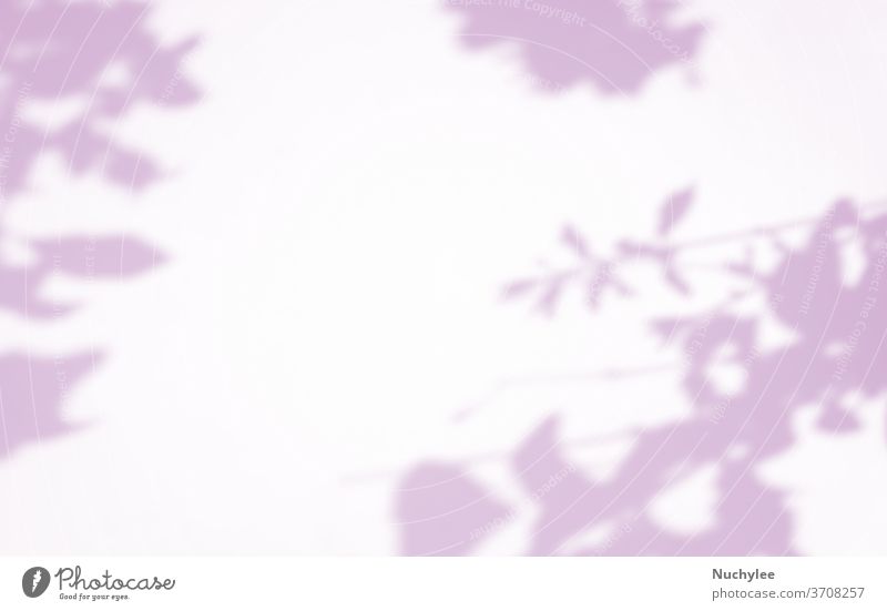 Organic Leaves natural shadow overlay effect on purple texture background, for overlay on product presentation, backdrop and mockup, abstract nature shadow pattern