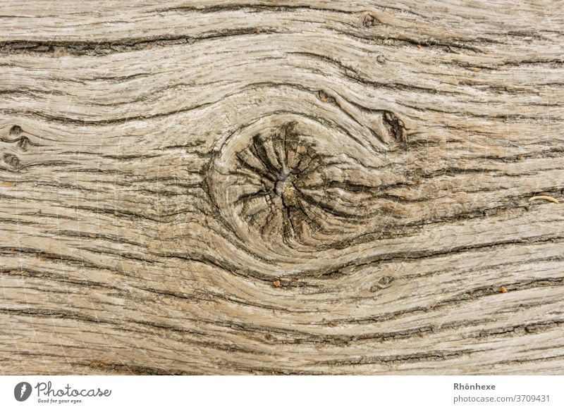 Pattern of an old wooden plank Nature Exterior shot Deserted Close-up Day Detail Shallow depth of field Subdued colour Structures and shapes Copy Space top