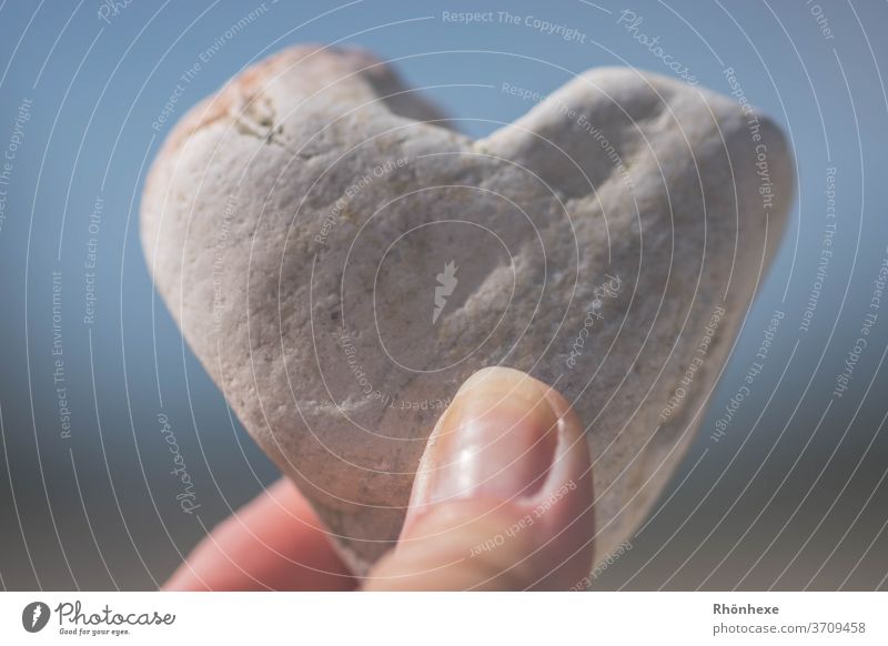 Holding a heart of stone in your hand Heart Love Macro (Extreme close-up) Close-up Emotions Colour photo Infatuation Stone rock-hearted Deserted Exterior shot