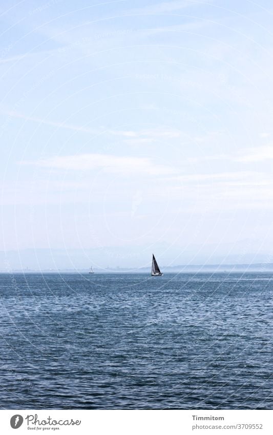 Wide and free travel Lake Constance Water wide boat Sail Sailboat Waves Sailing Sky Vacation & Travel Horizon Day Colour photo Wind