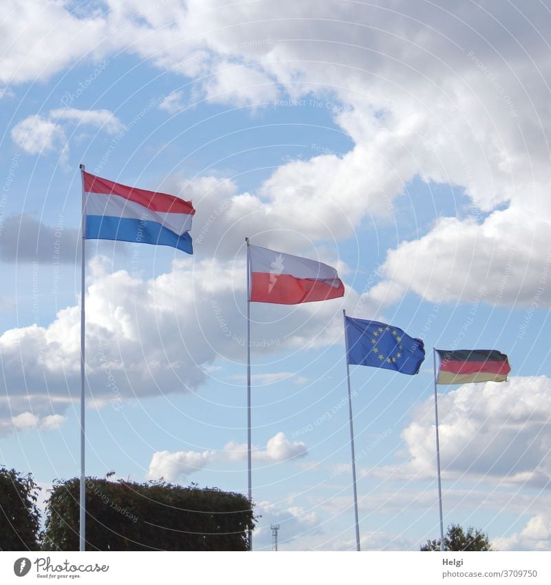 Multi-Kulti - Flags of different nations waving in front of a blue sky with clouds flag Multi-Culti Ensign Europe European flag Germany German flag Netherlands