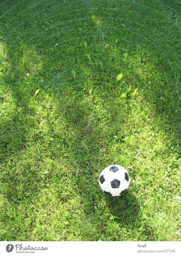 Meadow with football Grass Green Black Sports Soccer Ball wise Shadow
