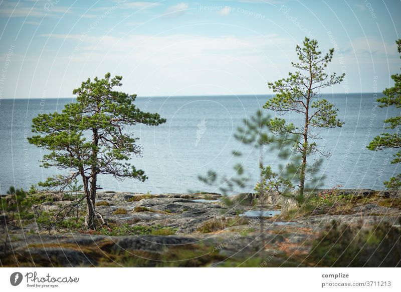 Ostrobothnia Finland Ocean Coast Beach rocky coast Rock Jawbone wide Scandinavia Baltic Sea Baltic coast Pietarsaari Horizon
