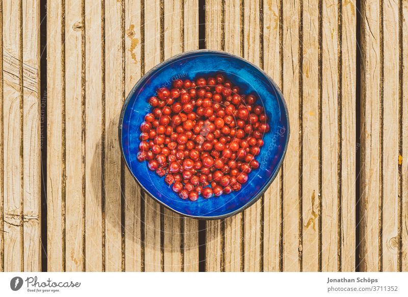 red currants in blue bowl on wood berry Berries Eating fruit fruits Currant Redcurrant Close-up food Blue out colourful low fructose Gaudy Delicious Sour Sweet