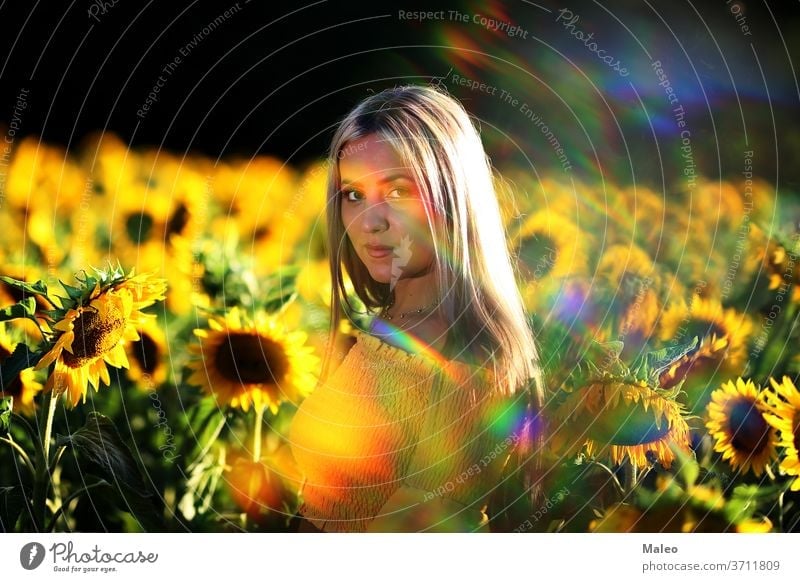 Portrait of a young girl in a sunflower field alone beautiful beauty blooming caucasian clean color country countryside cute dress free fresh fun green