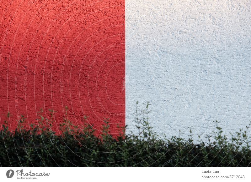 red and white or graphic on the house wall, in front of it a green hedge graphically graphic pattern Red White Direct Facade Hedge Line Wall (building)