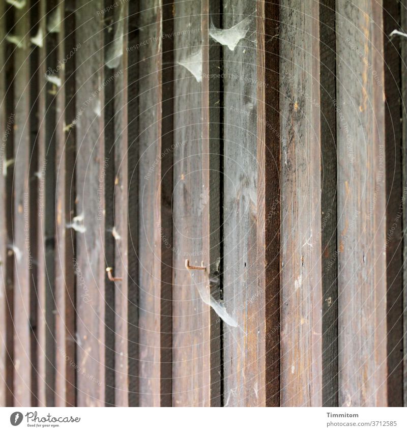 A wooden wall is decorated with cobwebs and metal hooks Wood Metal Checkmark lines Dark Shallow depth of field Deserted Exterior shot boards Wooden wall Facade