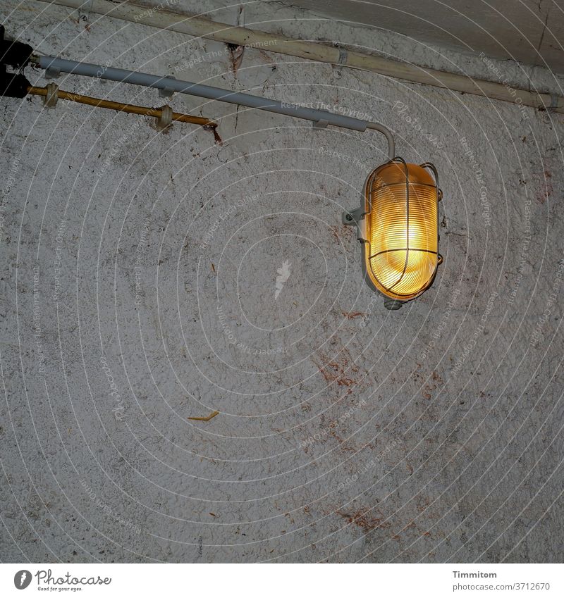 But still light in the old cellar Light Electric bulb Basement light Glass Metal safety grid Old Dreary Dim lamp Cellar Wall (building) Cables Empty tubes
