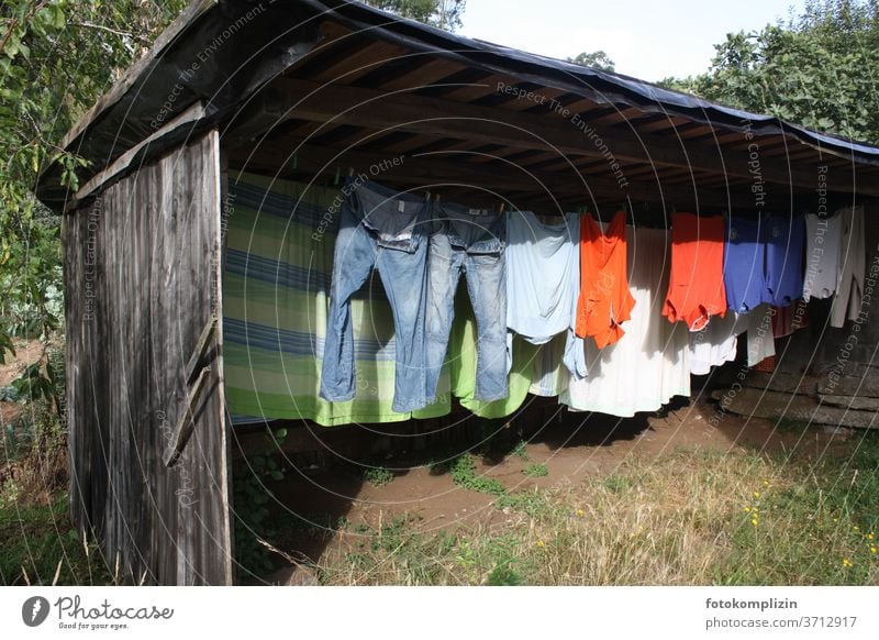 Coloured clothesline in a garden shed Clothesline Laundry Household Washing Housekeeping Dry Clean Hang up Living or residing Clothing Washing day