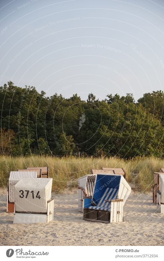 We meet at Strandkorb 3714 beach chair Sunbathing dune Beach Beach dune Sky Cloudless sky