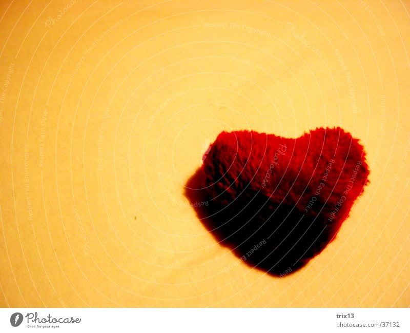 fabric hardness Light Red Yellow Cloth Sweet Macro (Extreme close-up) Close-up Heart Shadow Orange Division Love