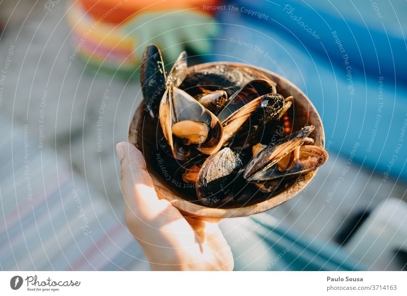 Close up bowl with mussels Mussel Mussel shell Food Bowl Detail Ocean Snail shell Exterior shot Colour photo Day Beach Deserted Nature Close-up