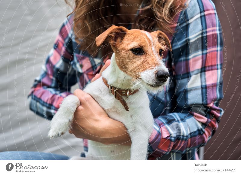 Woman with jack russell terrier puppy dog outdoors. Relationships and pet care concept owner happy animal cute friendship playing lifestyle fun grass young