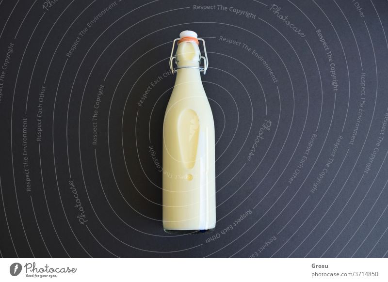 Milk bottle isolated on dark background with copy space for text glass white drink alcohol wine solvent object Container beverage milk bare empty plastic