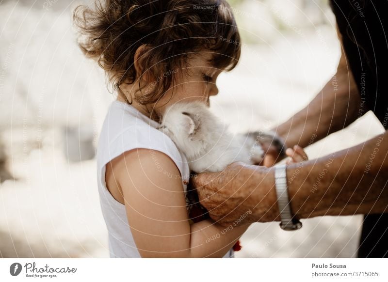 Child holding little cat Cat Domestic cat Grandmother grandma Animal portrait Cat eyes Mammal Pet Whisker Colour photo Beautiful Cute Family & Relations family