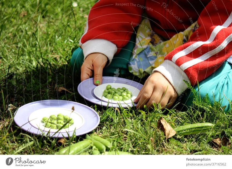 Children's hands holding plates with green fresh peas Peas bean counters Pea pods children's hands Healthy Eating Vegan diet Food photograph Vegetable