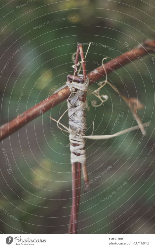 two tied together in a garden Interconnected twigs branches Nature Garden Horticulture Material natural fabric ally Perennial management Plant support wax