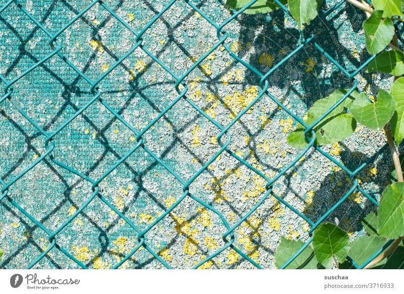 wire mesh fence Detail Near Wire fence Screening Fence Border Barrier Garden fence cyan little story Wire netting fence Shadow leaves wax Safety Protection