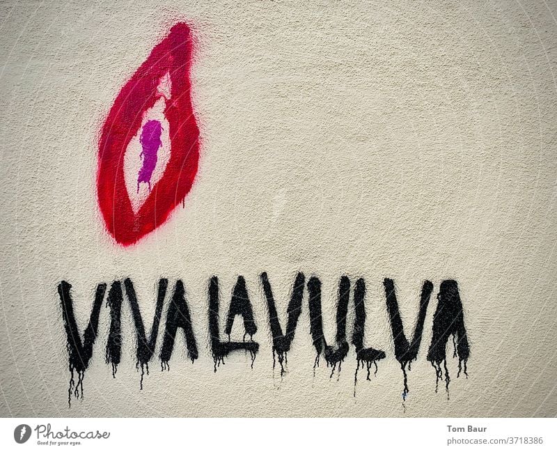 Graffiti "Viva la Vulva" - Women power graffiti Girl power women's day International Women's Day Homosexual lesbian lesbians lesbian and gay scene