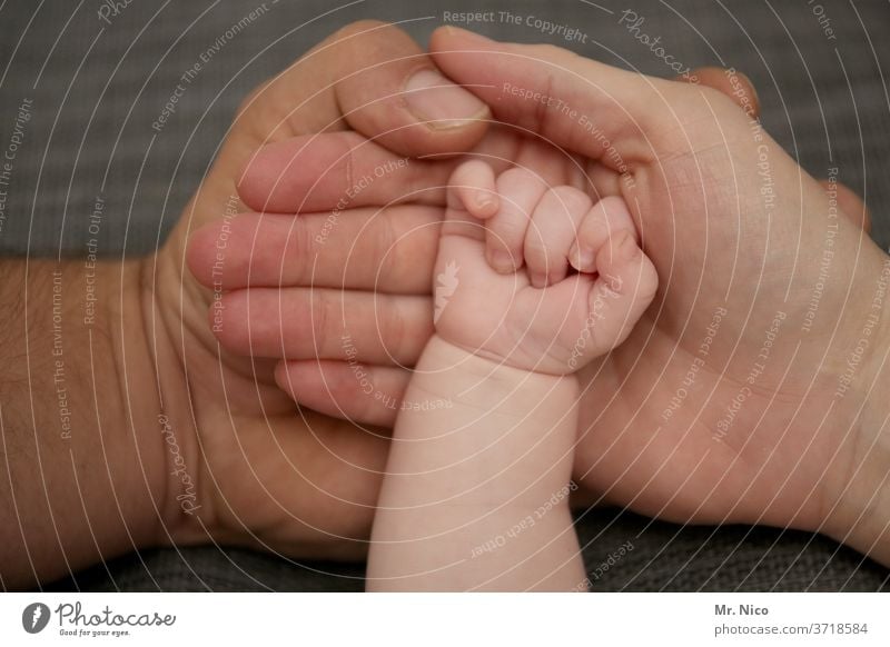 Small family hands by hand Father Mother Baby Parents Child Love Family & Relations Newborn luck dad mama holds infant Affection Life To hold on Touch Fingers