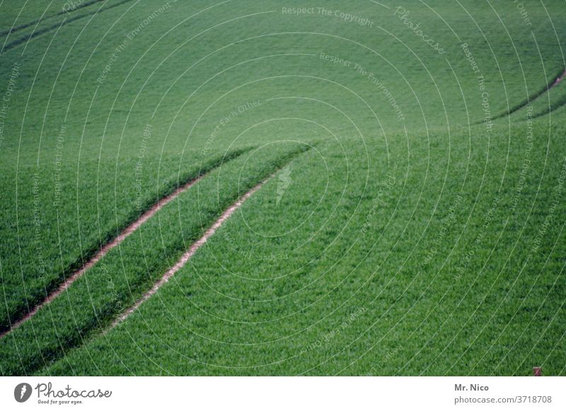 tracks in the field Furrow Tracks Agriculture Field green Harvest Tractor track Cornfield Lanes & trails Growth Nature Agricultural crop Environment Grain Plant