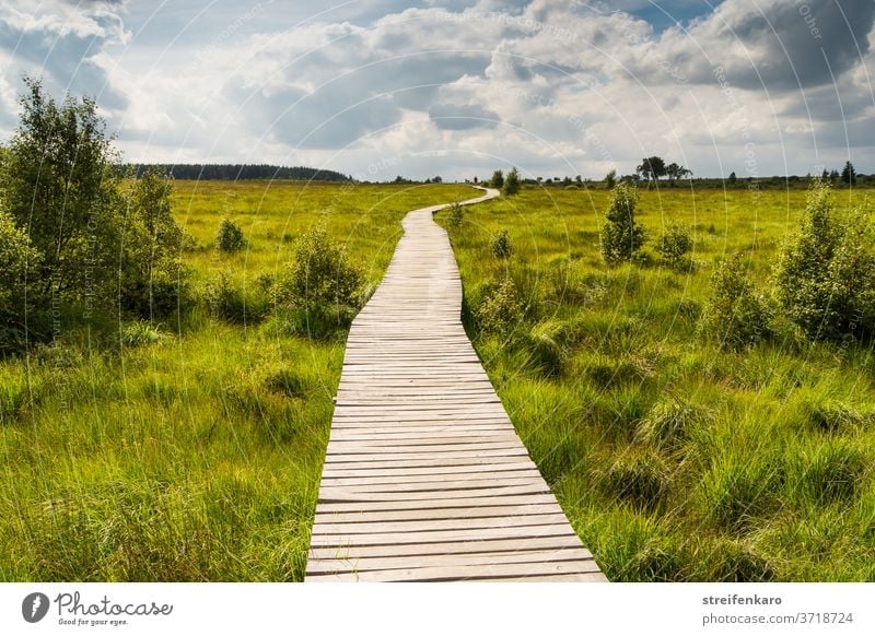 On the horizon we want to meet, said the wooden path to the clouds in the sky as it meandered through the green grass in the moor High venn Belgium Bog Fen