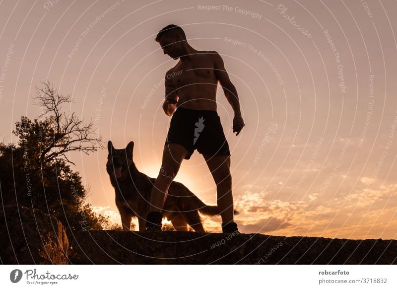 man training with his dog people grass male sky pet happy fun sunset outdoor nature meadow men summer animal silhouette dusk friendship sport healthy workout