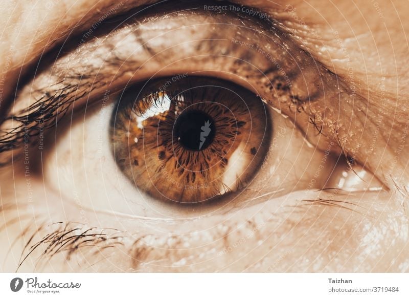 close-up detail of mature woman with brown green eye wrinkled people female old age aged aging cosmetic eyeball eyelash eyesight horizontal lines look