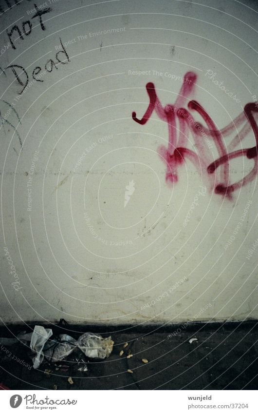 not Dead Wall (building) Daub Trash Text Dark Things grafiti Dirty Death