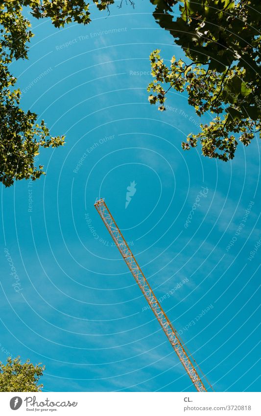 crane Crane leaves Construction site Tree Summer Blue Green Large Yellow Beautiful weather huge Tall Blue sky Cloudless sky Sky Worm's-eye view