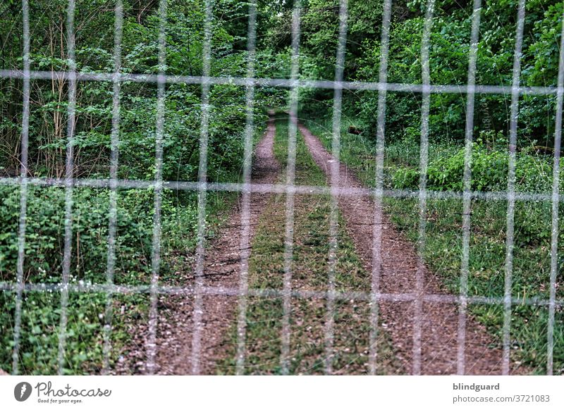 Wanderlust ... a sharp forest path closed off by a blurred site fence. End of terrain Forest forest soils Relaxation Recreation area flora fauna Nature natural