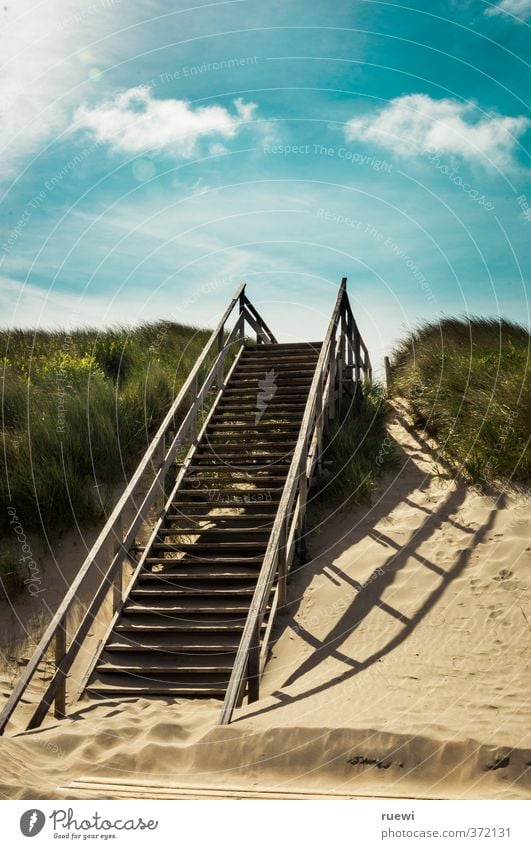 Stairway to... Well-being Relaxation Vacation & Travel Tourism Trip Far-off places Freedom Summer Summer vacation Beach Ocean Stairs Environment Landscape Air