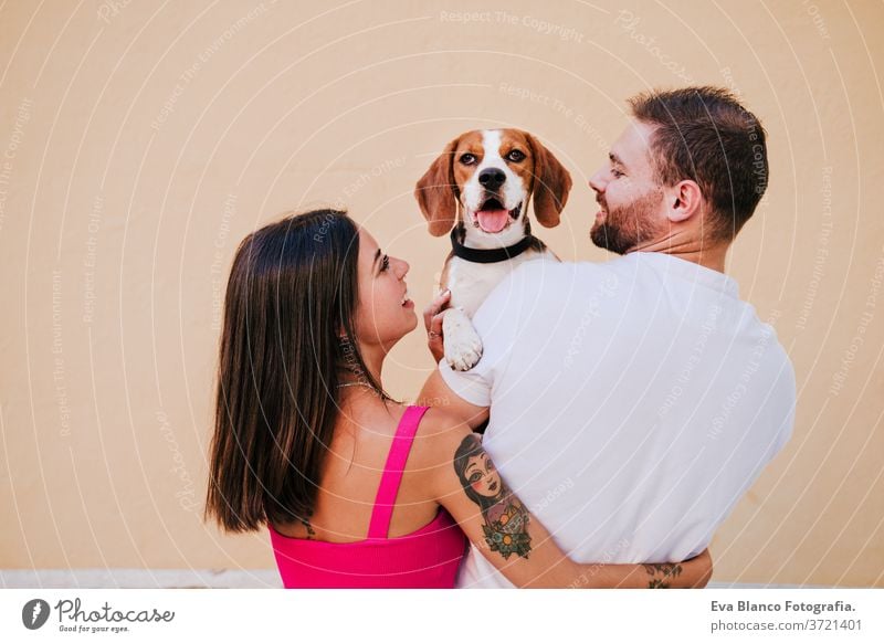 happy young couple outdoors kissing their beagle dog. Family and lifestyle concept. yellow background adult adventure affection beautiful beauty breed